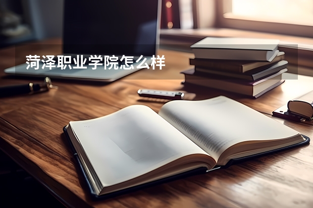 菏泽职业学院怎么样