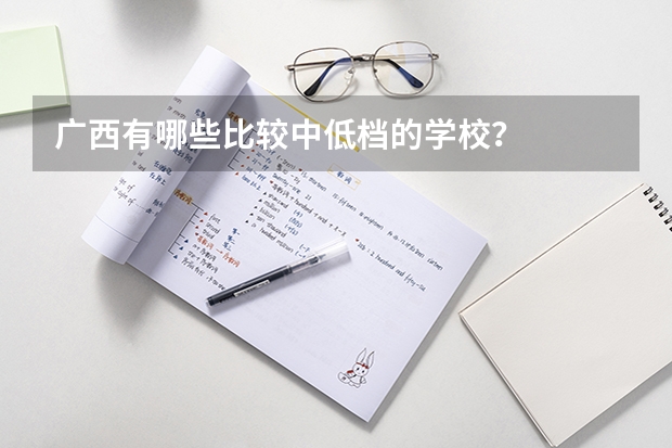 广西有哪些比较中低档的学校？