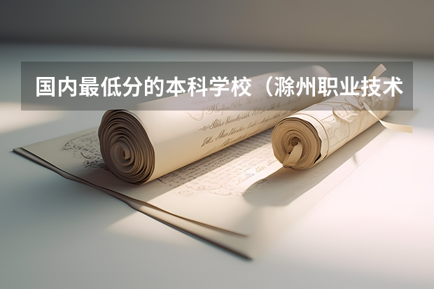 国内最低分的本科学校（滁州职业技术学院是一本还是二本）