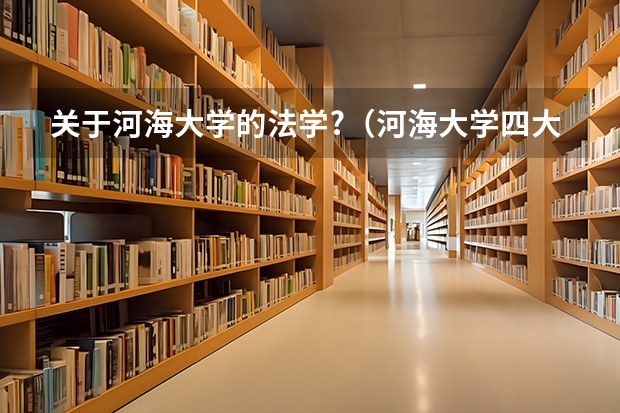 关于河海大学的法学?（河海大学四大王牌专业）