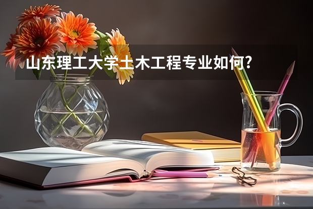 山东理工大学土木工程专业如何?